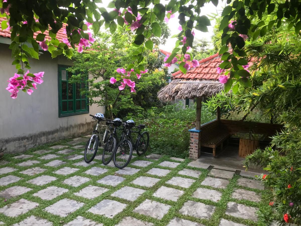 Appartement Tam Coc Eco House à Ninh Bình Extérieur photo