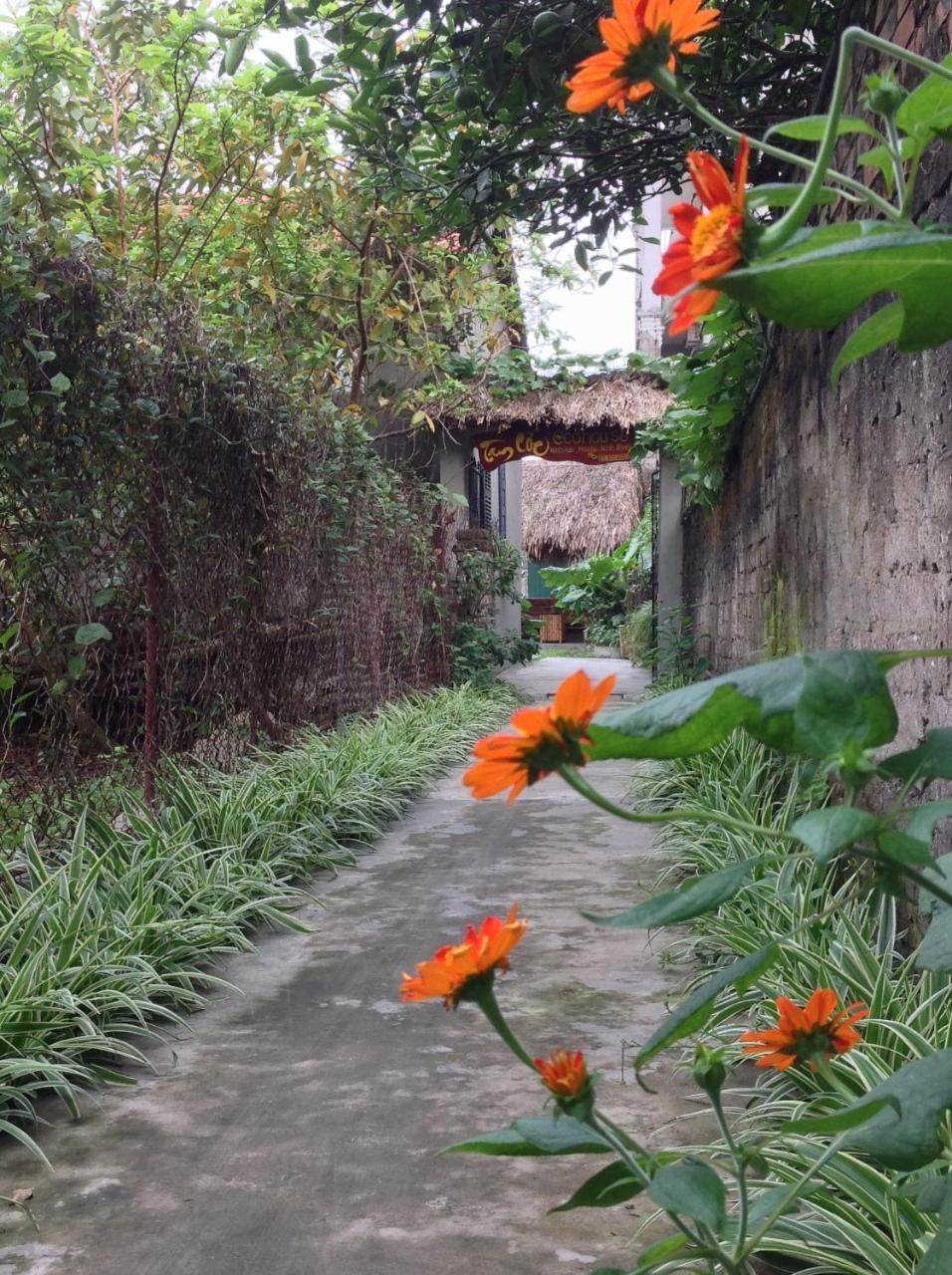 Appartement Tam Coc Eco House à Ninh Bình Extérieur photo