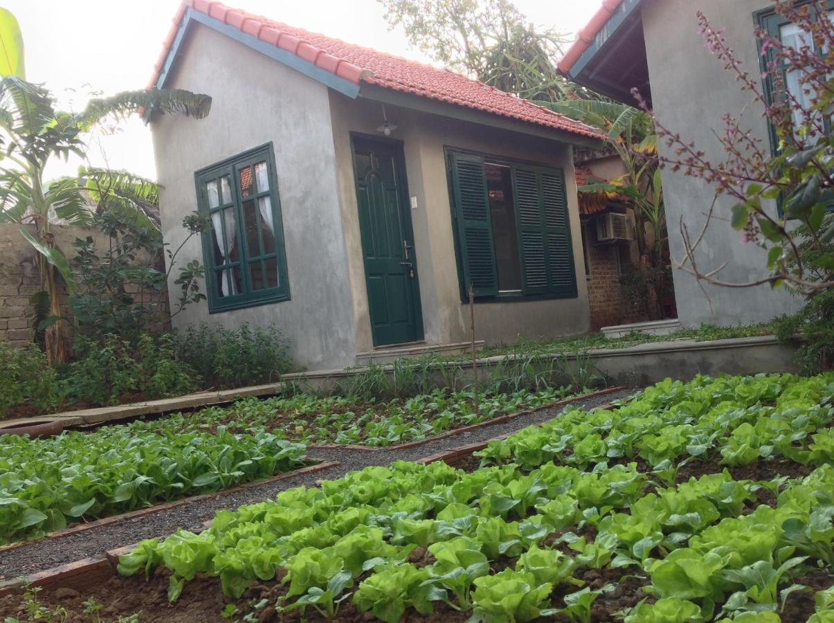 Appartement Tam Coc Eco House à Ninh Bình Extérieur photo